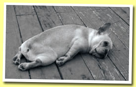 >Tired